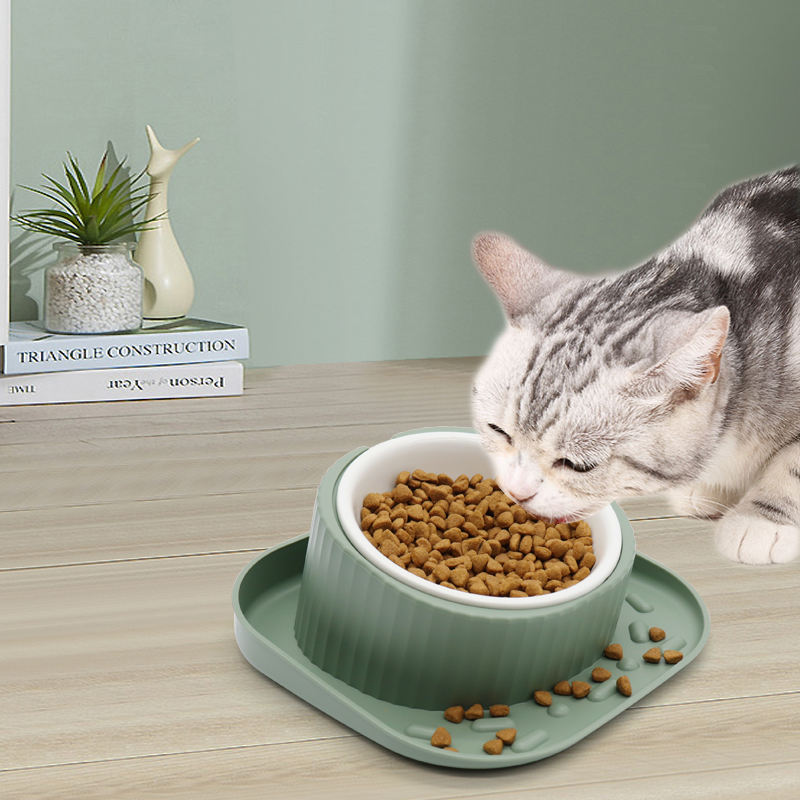 Cat Food Bowl Ceramic and Stainless Steel Bowl